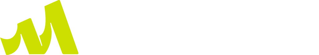 LAMMSA