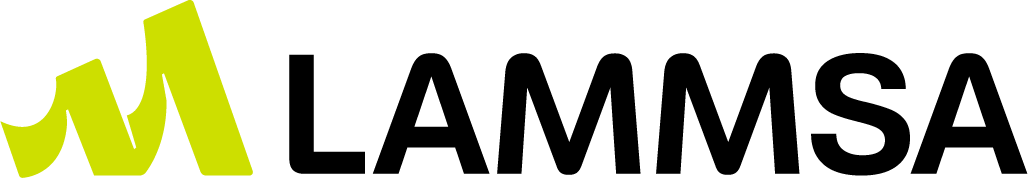 LAMMSA